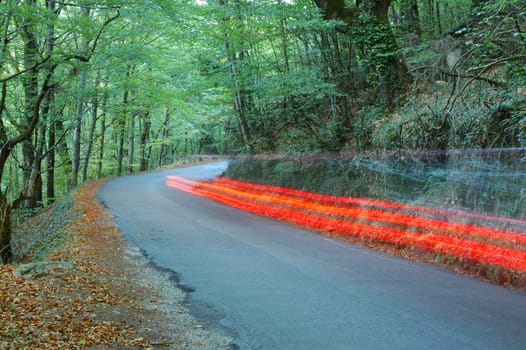 car light exposure in road forest