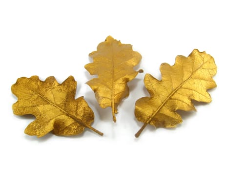 some golden leaves over a white background