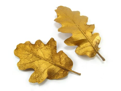 some golden leaves over a white background