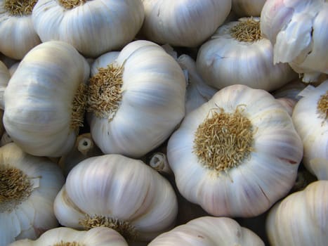 image of some bulbs of garlic at the market