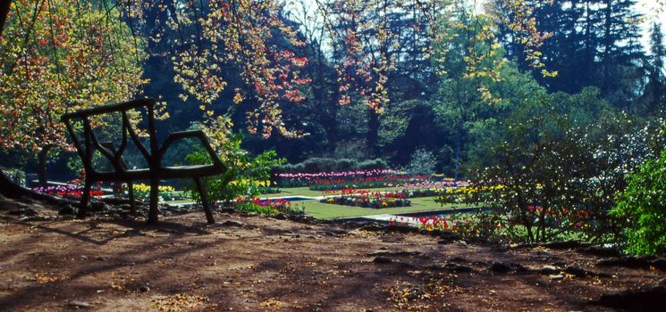 Bench in Italian Villa Taranto botanical garden