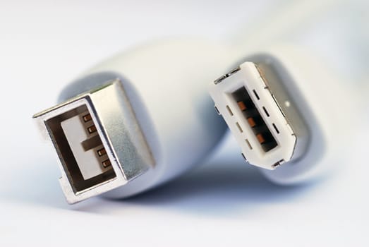 Macro image of firewire cable showing differen types of connector