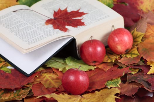 The book with a red maple leaf and apples removed close up on autumn foliage