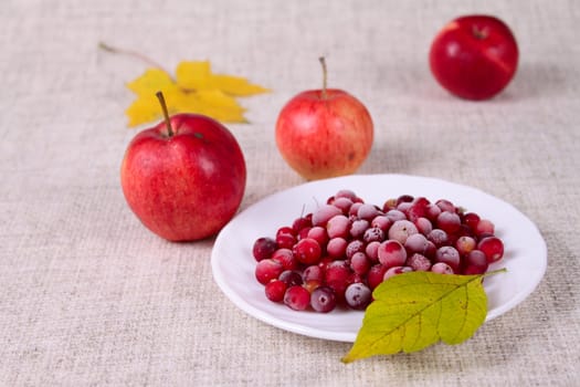 Plate of a cowberry removed close up against a linen napkin