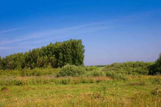 The summer green meadow which has been removed against the blue sky