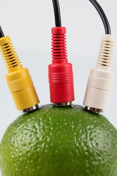 Lime with the connected television wires removed on a white background without isolation