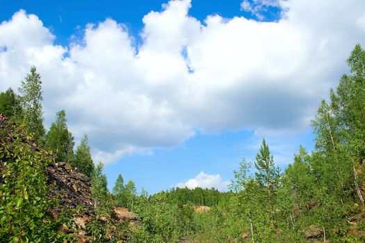 Summer landscape. Trees on hills of the Ural mountains with stony soil