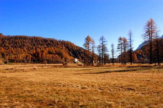 Autumnal scenery of golden meadow and hillls