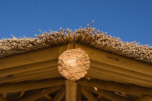 Palapa huts close up on beach at Colorado River