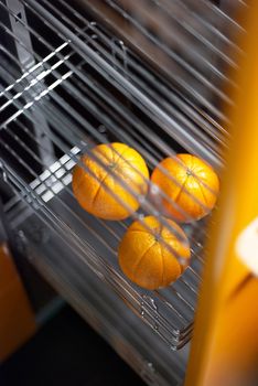 Tasty orange in kitchen in fridge