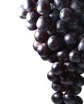 Cluster of grapes isolated on white background               