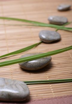 Spa composition of stones and herbs