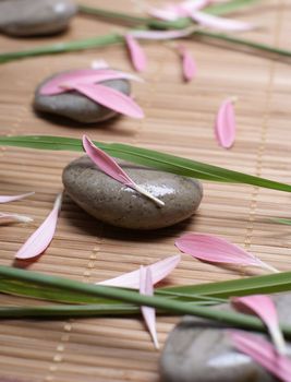 Spa composition of stones and flowers                