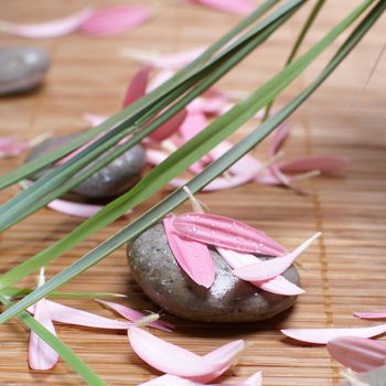 Spa composition of stones and flowers                