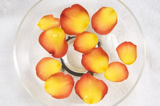 Rose petals floating in a bowl of water