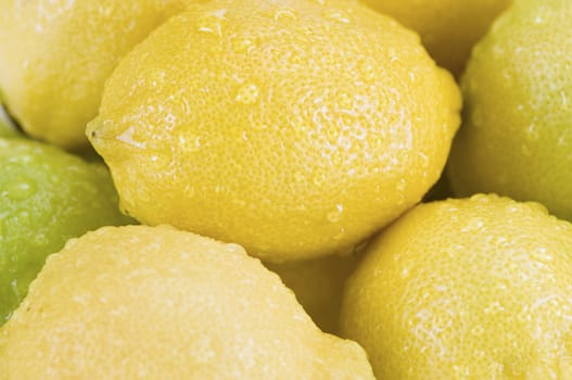 Close-up of wet lemons
