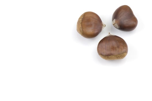 Chestnuts isolated on a white background