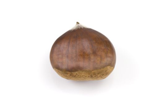 a Chestnut isolated on a white background