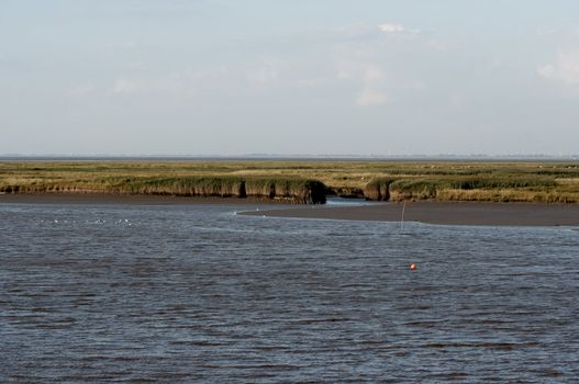 at the coast of the northsea