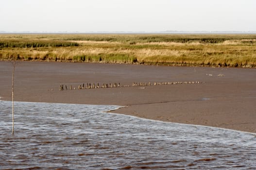 at the coast of the northsea