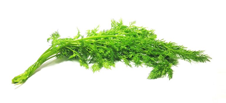 Fresh green dill isolated on white       