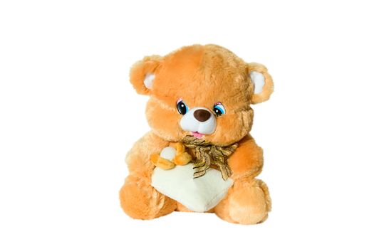 Soft toy brown bear , isolated on a white background.