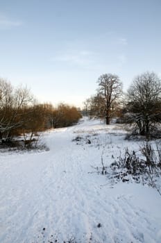 A view of a park covered in snow on the ground and trees