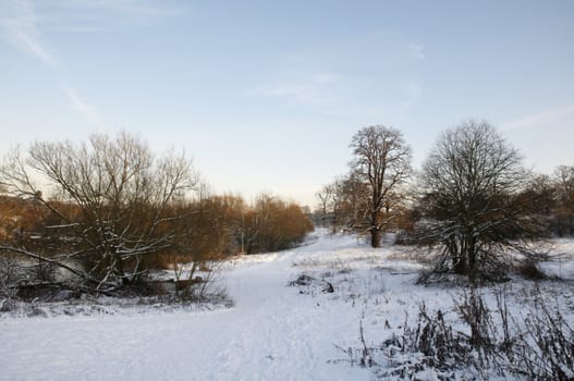 A view of a park covered in snow on the ground and trees