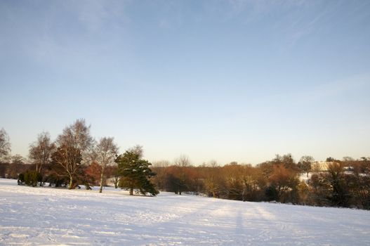 A view of a park covered in snow on the ground and trees