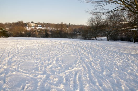 A view of a park covered in snow on the ground and trees