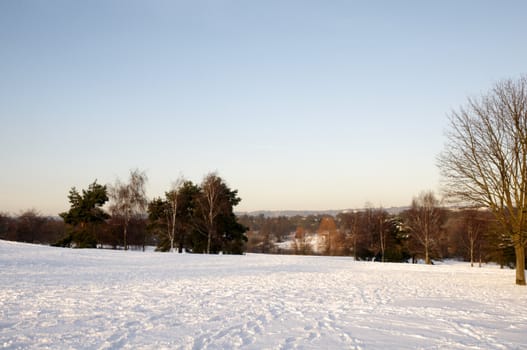 A view of a park covered in snow on the ground and trees