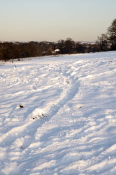 A view of a park covered in snow on the ground and trees