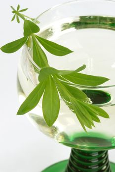 Close-up of woodruff wine with leaves - shot in studio