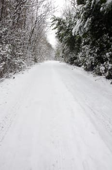 A footpath covered in snow with trees in the background