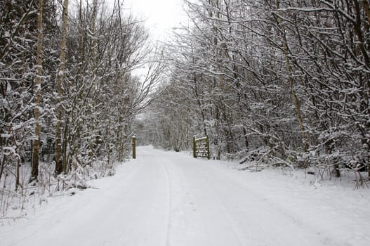 A footpath covered in snow with trees in the background