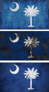 Great Image of the Flag of South Carolina