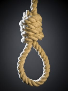 A hangman's noose over a gray background.