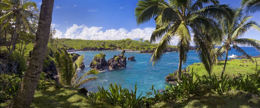 Panoramic of Honokalani Black Sand Beach at Wainapanapa State Park, near Hana, Maui, Hawaii, USA.