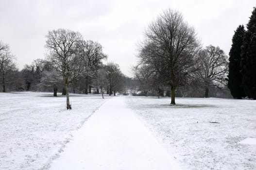 A footpath covered in snow with trees in the background