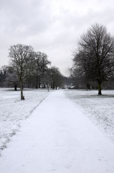 A footpath covered in snow with trees in the background