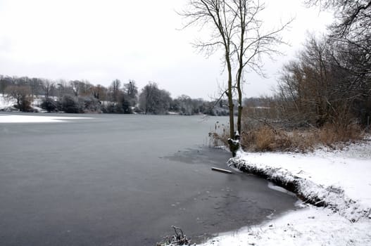 A view of a lake in winter with snow