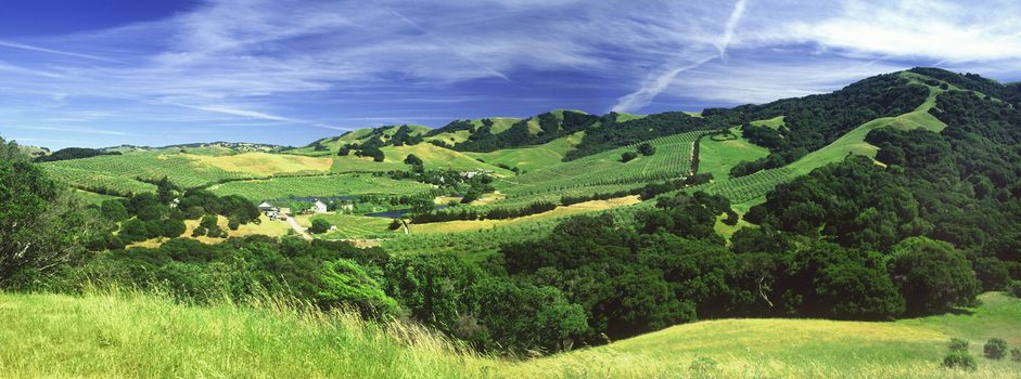 panoramic of farm and hills near the Russian River northern California green ranching cows animals trees grass rural scenic clouds blue valley