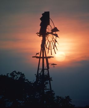 silhouetted windmill with bird at sunset