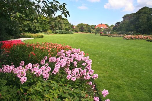 Westbroek Park with spring flowers