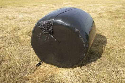 A hay bale.covered in black plastic in a field