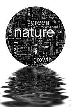 Nature illustration with many different terms like nature or world