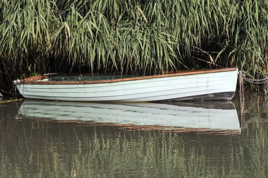 Rowing boat with green reed in the background