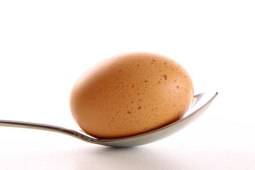 Brown egg with spoon on white background