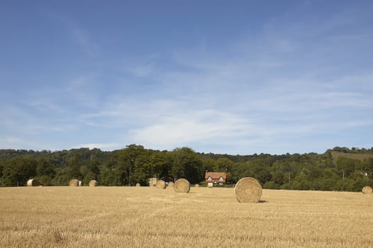 summer landscape with hay bales and deep blue skyscape