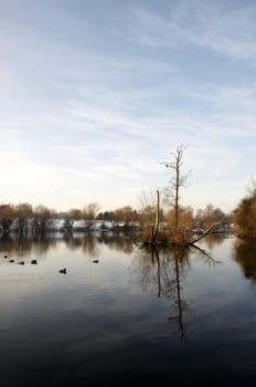 A view of a lake in winter with snow